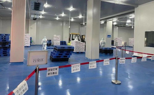 筑牢冷鏈?zhǔn)称钒踩谰€ 珠海西域碼頭開(kāi)展進(jìn)口冷鏈預(yù)防性全面消毒工作